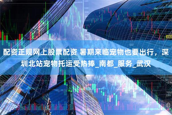 配资正规网上股票配资 暑期来临宠物也要出行，深圳北站宠物托运受热捧_南都_服务_武汉
