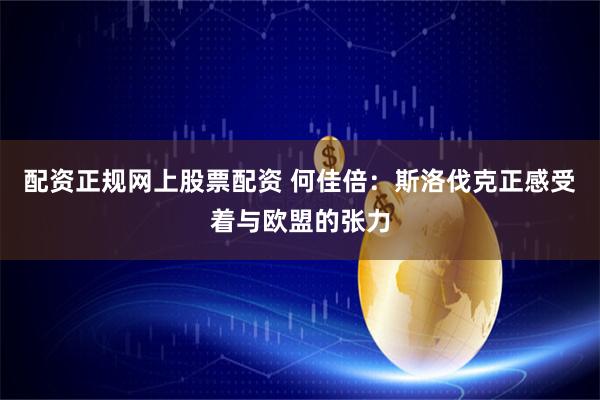 配资正规网上股票配资 何佳倍：斯洛伐克正感受着与欧盟的张力